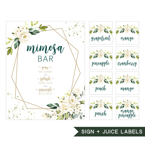 Mimosa Bar Sign Set